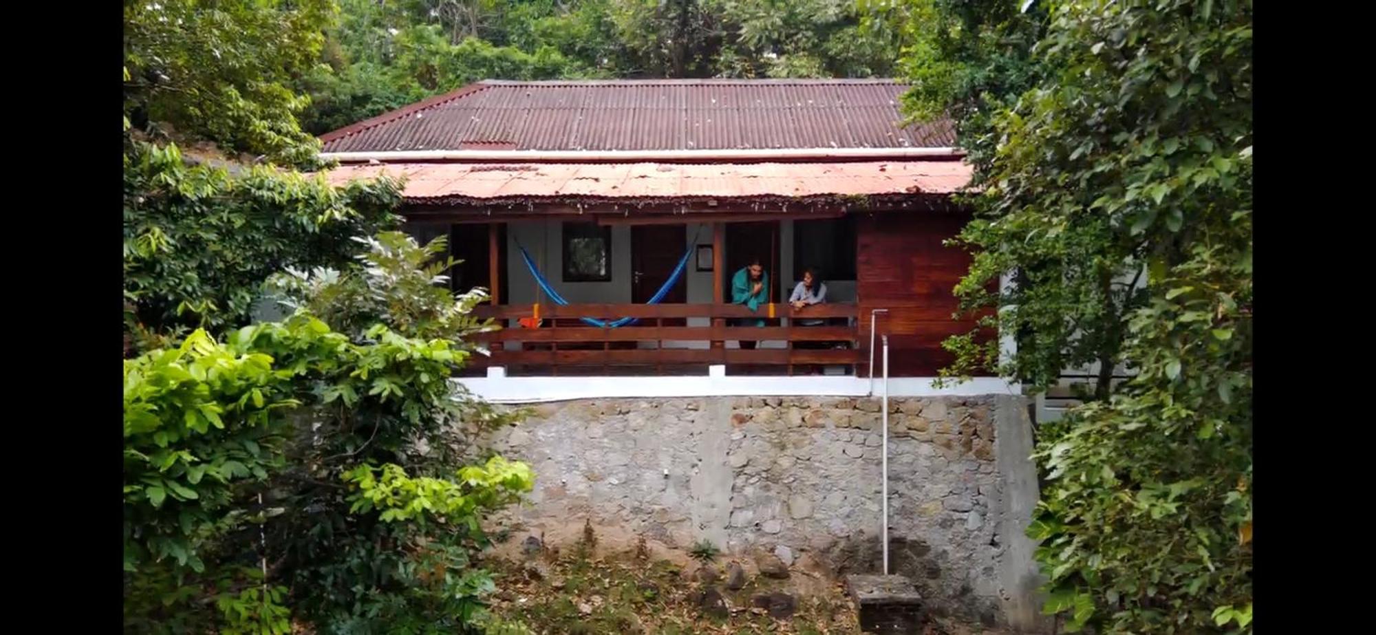 Homestay Treetop And *