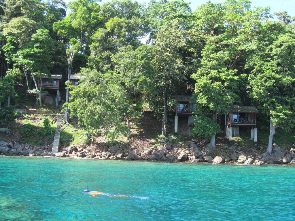 Homestay Treetop And